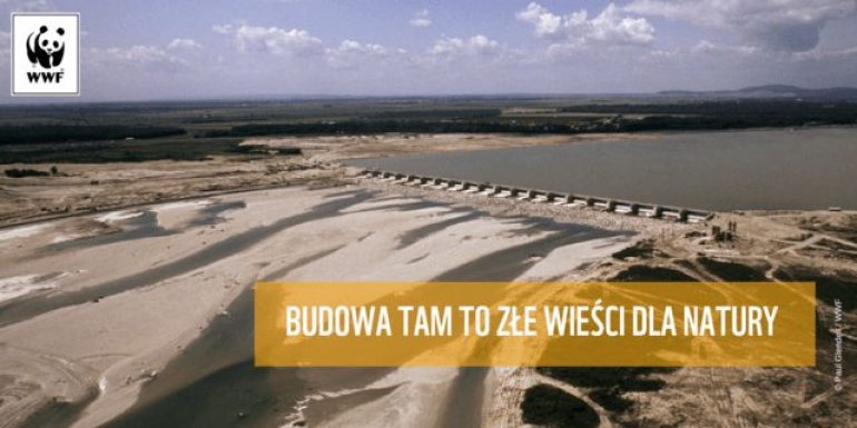 Płyń i daj płynąć. Majówka bez tam!
