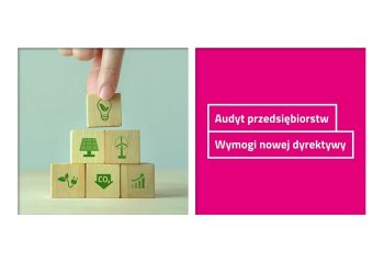 Energetyczny audyt przedsiębiorstw. Wymogi nowej unijnej dyrektywy.