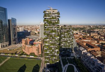 Można zzielenieć ze zazdrości ? | Bosco Verticale czyli 