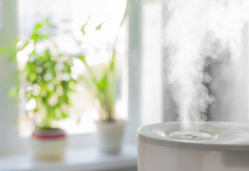 Jak nawilżyć suche powietrze w mieszkaniu?