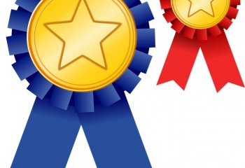 Nomainacja dla Schiedel do Płomienia roku 2017