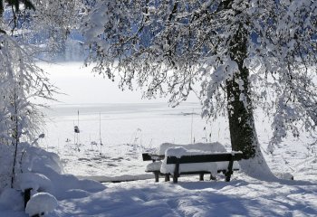 Polska wśród najgorszych w Europie pod względem smogu