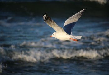 Pracownia chłodnictwa i klimatyzacji dla gdańskiego „Conradinum” 