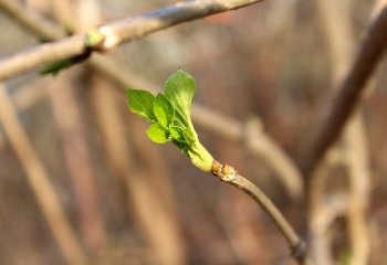 120 milionów złotych na poprawę jakości środowiska miejskiego