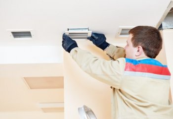 Jak usunąć pleśń i wilgoć z mieszkania? 