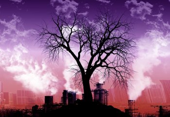 Wyjazdowa Komisja Zdrowia ws. ograniczenia szkodliwości smogu