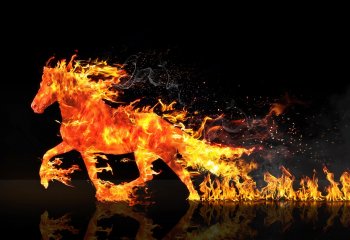  Kominek elektryczny Dimplex Opti-Myst