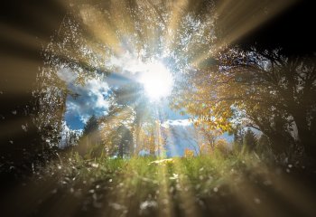 Wzrost znaczenia energii słonecznej