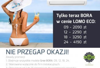 Promocyjne ceny na klimatyzatory Bora Gree