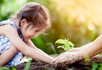 Do 2050 roku mniej niż 10% ziemskiego lądu będzie wolne od śladów ingerencji człowieka.