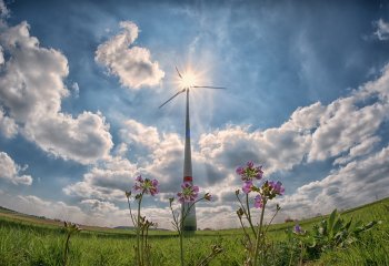 Odnawialne Źródła Energii - zielona energia dostała zadyszki - raport NIK