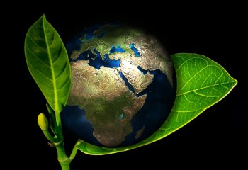 Cztery projekty z zakresu edukacji ekologicznej dla młodzieży