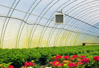 Nagrzewnice VOLCANO wspierają swą siłą rozkwit roślin hodowlanych