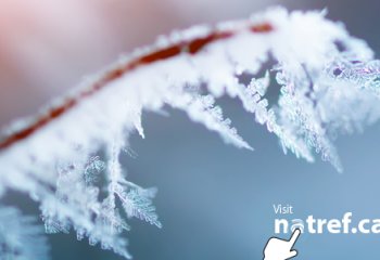 Chłodnictwo: rośnie trend instalacji z naturalnymi czynnikami chłodniczymi