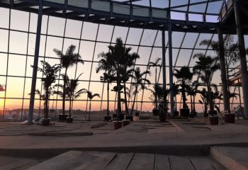 Pierwsze palmy pod Mszczonowem. Park  wodny Suntago nabiera kształtów | Inwestycje