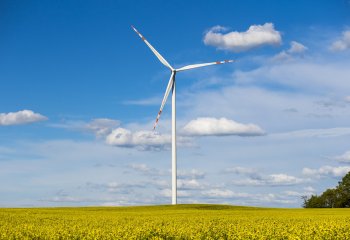 Polska będzie stawiać na odnawialne źródła energii