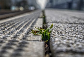 Polska firma ograniczyła wpływ produkcji betonu na środowisko