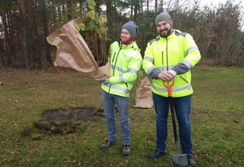 200 drzew dla Białegostoku