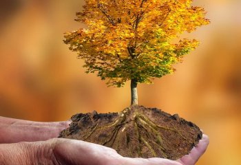 Wypracowanie wspólnych celów klimatycznych podczas COP25 w Madrycie będzie trudne do osiągnięcia