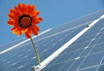 Polskie koncerny energetyczne coraz mocniej stawiają na odnawialne źródła energii