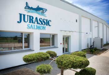 Jurassic Salmon | Systemair Polska 