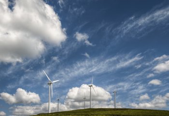 Banki i sektor finansowy zwiększą wsparcie finansowe dla zielonych projektów