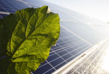 Trzykrotny wzrost mikroinstalacji w sieci Energi 