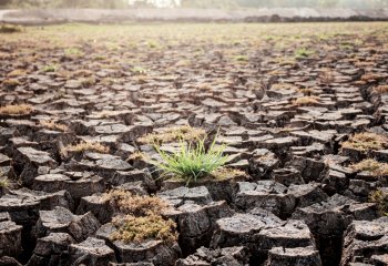 Samorządy walczą ze zmianami klimatycznymi. Zmuszają biznes do działań proekologicznych