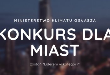 Konkurs dla miast – „Lider w kategorii”