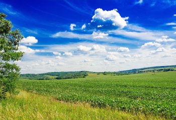 Jak izolacja może wspierać walkę ze zmianami klimatu?