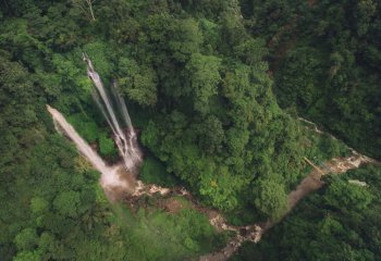 Świat bez lasów deszczowych to świat bez czekolady