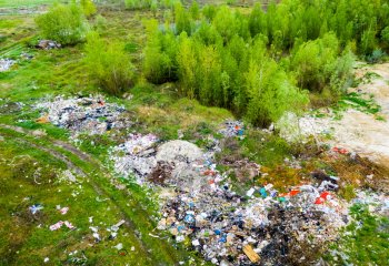 Śmiecisz w lesie? Sąd każe Ci posprzątać