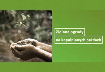 Zielone ogrody na kopalnianych hałdach