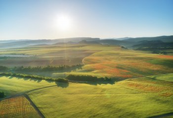 Ziemia w cenie – przeciętny rolnik z Warmii i Mazur to milioner