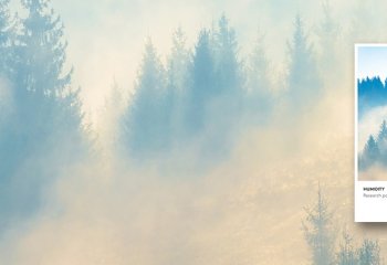 Wilgotność powietrza - kompendium wiedzy