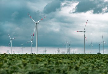 Panattoni na zielonej drodze