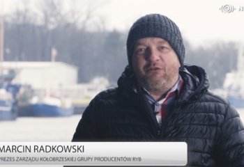 Trafiające do Bałtyku zanieczyszczenia zostają w nim nawet 30 lat