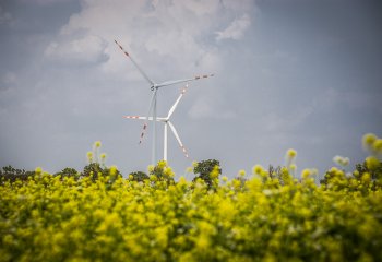 Firmy kupują coraz więcej zielonej energii
