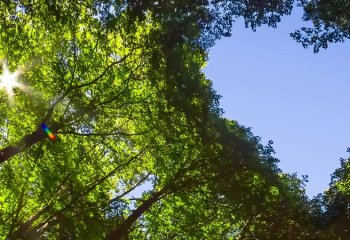 Ograniczenia dla F-gazów wymuszają ich ciągły rozwój