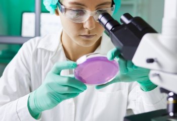 Erbud wzmacnia gałąź usług dla przemysłu