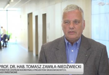 Realizacja unijnej strategii bioróżnorodności może uderzyć w polski przemysł drzewny