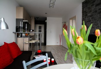 Polskie mieszkania na tle Europy