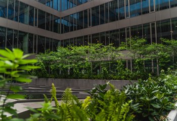 Fabryka Norblina obrosła w zieleń