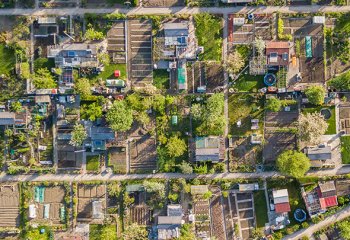 Brak planów miejscowych uderza w miejską zieleń