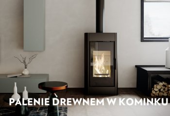 Czy można palić drewnem w kominku?