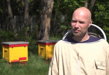 Przybywa pasiek na dachach galerii i biurowców