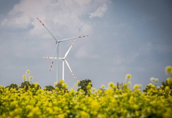 Farma wiatrowa za 500 mln zł