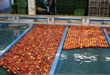 Branża rolno spożywcza zbiera plony wojny i inflacji