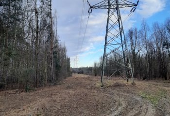 TAURON odbudowuje „zieloną infrastrukturę”