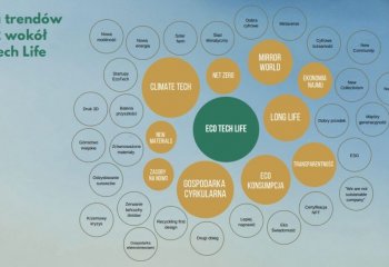 4 najgorętsze trendy eco w branży technologicznej